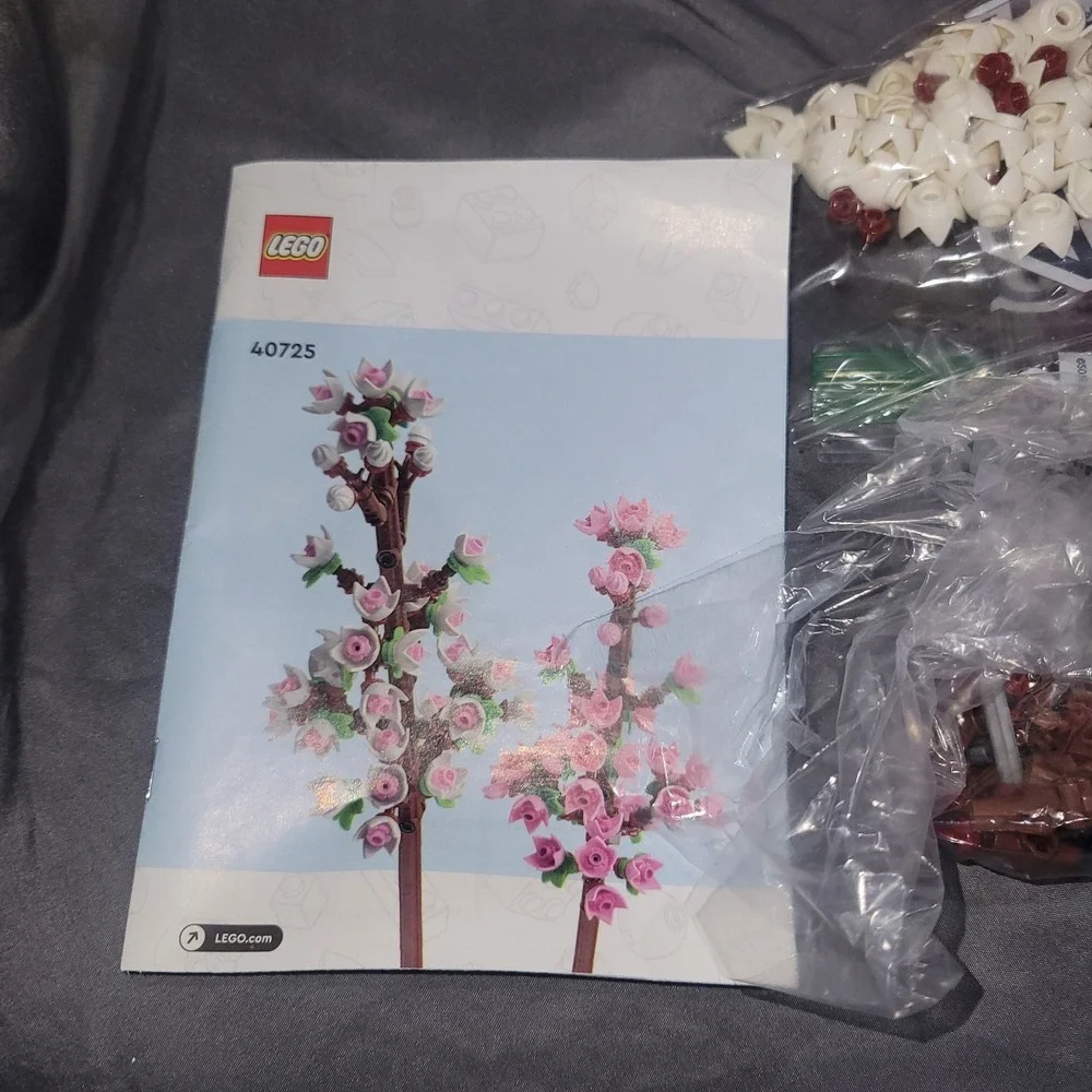 Lego 2024 #40725